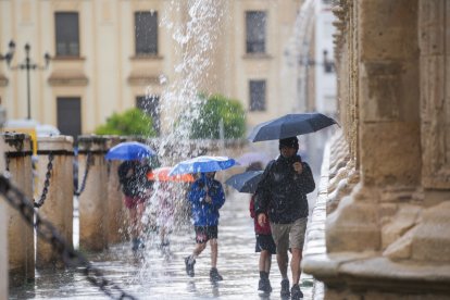 Imagen de un día de lluvia en Sevilla.