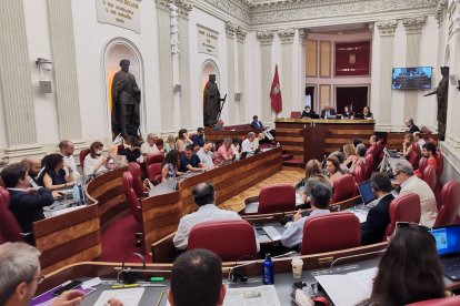 Pleno de la Diputación de Álava