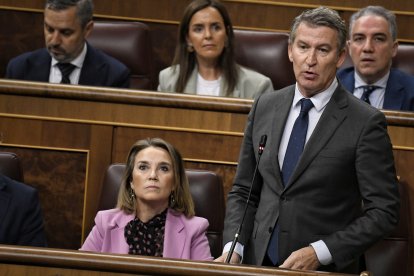 El presidente del PP, Alberto Núñez Feijóo, interviene durante una sesión de control al Gobierno.