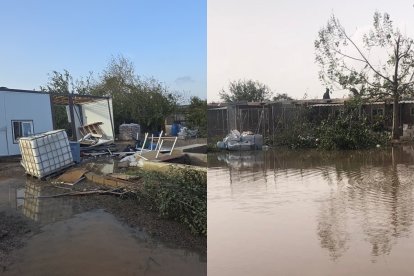 Refugio de animales de la protectora Modepran en Carlet (Valencia), anegado y dañado tras el paso de la DANA.