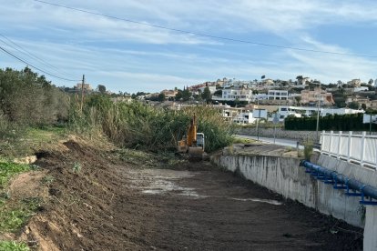 Limpieza del barranco del Quisi