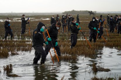 Varios agentes de la Guardia Civil siguen buscando cuerpos en la Albufera, a 15 de noviembre de 2024