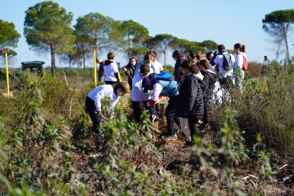 Reforestación en Moger (Huelva) de la Fundación Cepsa y la Fundación Plants for the planet.