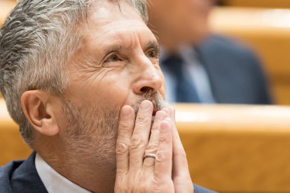 Fernando Grande-Marlaska durante la sesión plenaria del Senado