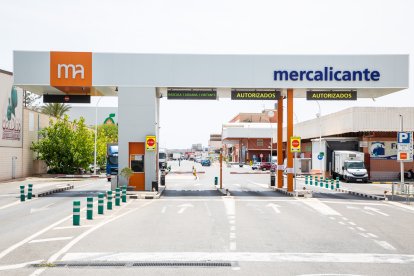 Mercalicante