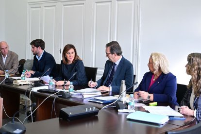 Tercera sesión de la comisión municipal de investigación sobre la dana