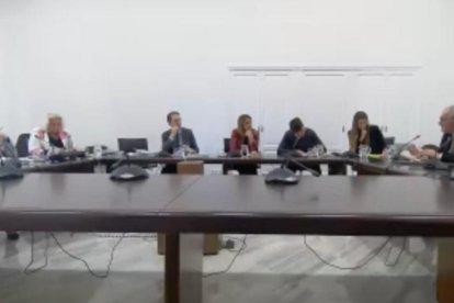 El autor del artículo, José María Lozano, durante su intervención en la comisión.