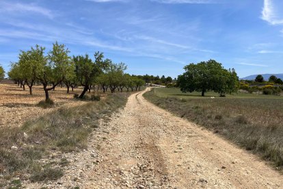 Camino Negrón