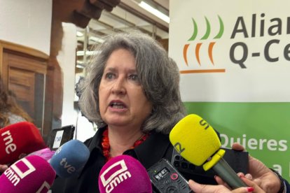 La consejera de Desarrollo Sostenible del Gobierno de Castilla-La Mancha, Mercedes Gómez.