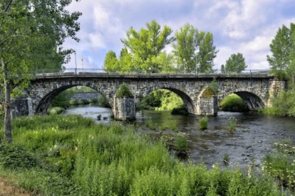Puente de piedra sobre el río Carrión en Guardo, (Palencia)