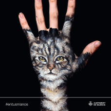 Cartel de campaña