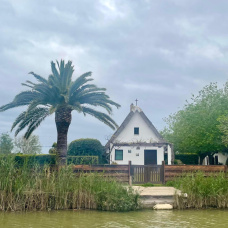 Barraca tradicional valenciana junto a la Albufera, símbolo del paisaje rural y la cultura agrícola de la Comunidad Valenciana.