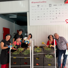 Alicante Gastronómica Solidaria