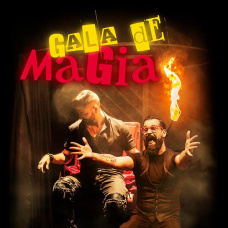 Cartel de la Gala Mágica Solidaria.
