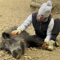 la fundadora de Refugi La Muntanyeta con uno de los cerdos que vivían en el santuario.