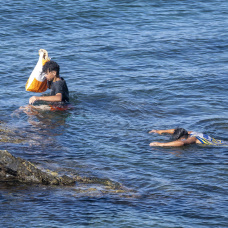 Ven ustedes a estos inmigrantes tratando de llegar a Ceuta a nado? Marlaska, no