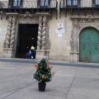 El árbol en la Plaza del AYuntamiento.