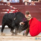 19ª San Isidro Dos toros de premio y con orejas, solo una para Borja Jiménez