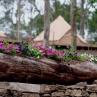 Alquila tu cabaña en el primer camping autosostenibe del "Caribe" gallego