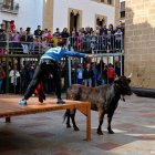 El PP quiere que la directora de À Punt explique en las Cortes sus reticencias para emitir  festejos taurinos