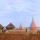 Uno de los prototipos de Warka Water instalado en Etiopía.