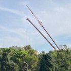 Grúas arrancando pinos en los jardines de Monforte de Valencia