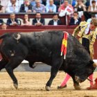 San Isidro 11ª. Pedraza de Yeltes, todo un concierto para el aburrimiento