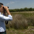 El presidente del Gobierno, Pedro Sánchez, en su reciente visita al Parque Nacional de Doñana.