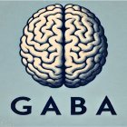 Propiedades y contraindicaciones del GABA