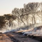 La llamada Cuesta Maneli calcinada tras el incendio junto a Doñana