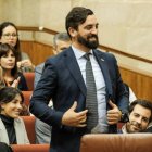 Abascal tiene un 'gemelo' en Vox y es senador y esposo de una reina de la moda