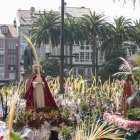 Procesión del Domingo de Ramos (Ferrol)