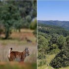 Parque Natural Sierra de Andújar en Jaén