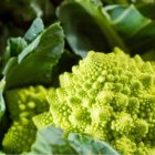 Propiedades del romanesco