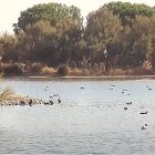 Reserva Natural Lagunas de Villafáfila