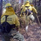 Las brigadas forestales de la Diputació actúan en 135 emergencias este verano