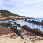 Las piscinas naturales de Bolonia sin arena y con algas (Tarifa, Cádiz).