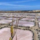 Salinas de Tenefé