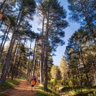 Sendero de la provincia de Castellón