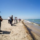 Vista del vertido en la playa de El Saler, a 16 de julio de 2024, en Valencia, Comunidad Valenciana (España).