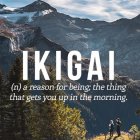 IKIGAI: la razón de ser, lo que hace que te levantes por las mañanas.