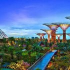 El espectáculo de los árboles futuristas de Singapur