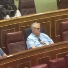 Feliu Guillaumes duerme plácidamente durante el Pleno.