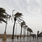 Alerta naranja por fuerte viento en la Comunidad Valenciana.