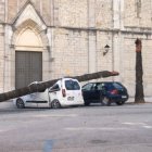 Una palmera cayó por la fuerza del viento a un choche en Benissa