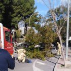 Las fuertes rachas de viento han provocado 15 intervenciones de los bomberos y Policía Local