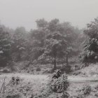 Imagen de la nieve en la Sierra de Enguera.