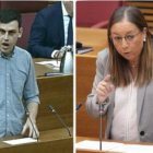 El diputado de Podemos, Ferran Martínez, y la diputada de Vox, Llanos Massó