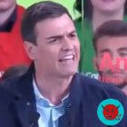 Pedro Sánchez en 2015