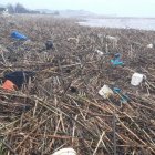 La playa de Cullera inundada de "miles de cañas y suciedad" tras el temporal.